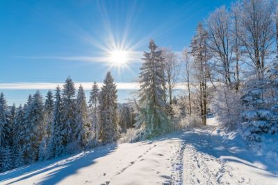 Beskid Sądecki zimą