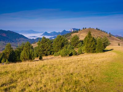 Wysoka Pieniny