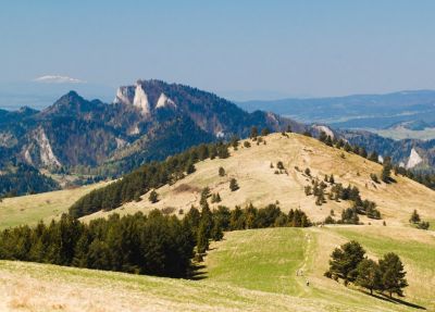 Wysoka Pieniny